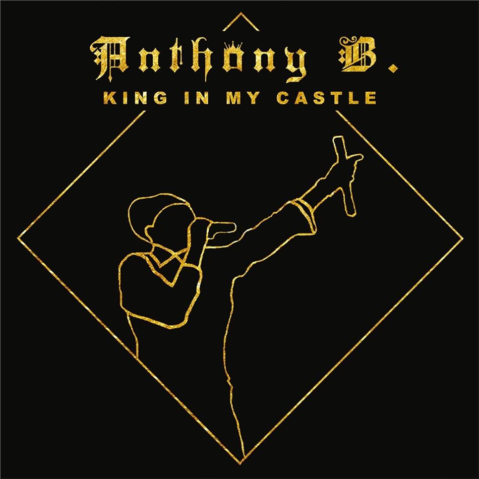Anthony B - King In My Castle 2 LPs