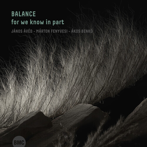 Balance (Jazz) - For We Know In Part