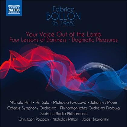 Christoph Poppen, Michala Petri, Per Solo, Michaela Fukacov&aacute;, Johannes Moser, &hellip; - Your Voice Out Of The Lamb