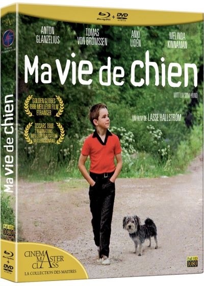 Ma vie de chien (1985) Cinema Master Class, Blu-ray + DVD