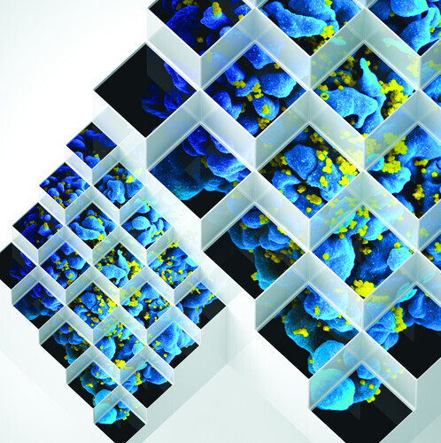Bluetech - Liquid Geometries In Dub LP