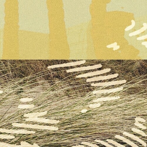 Parris - Terrapin 12" Maxi