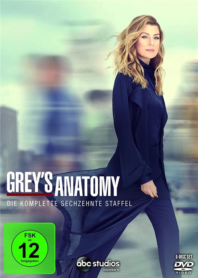 Grey's Anatomy - Staffel 16 6 DVDs