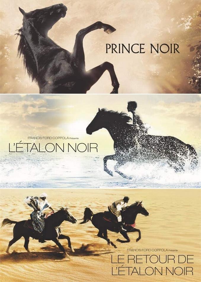 Prince Noir / L'Étalon Noir / Le retour de l'Étalon Noir 3 DVD