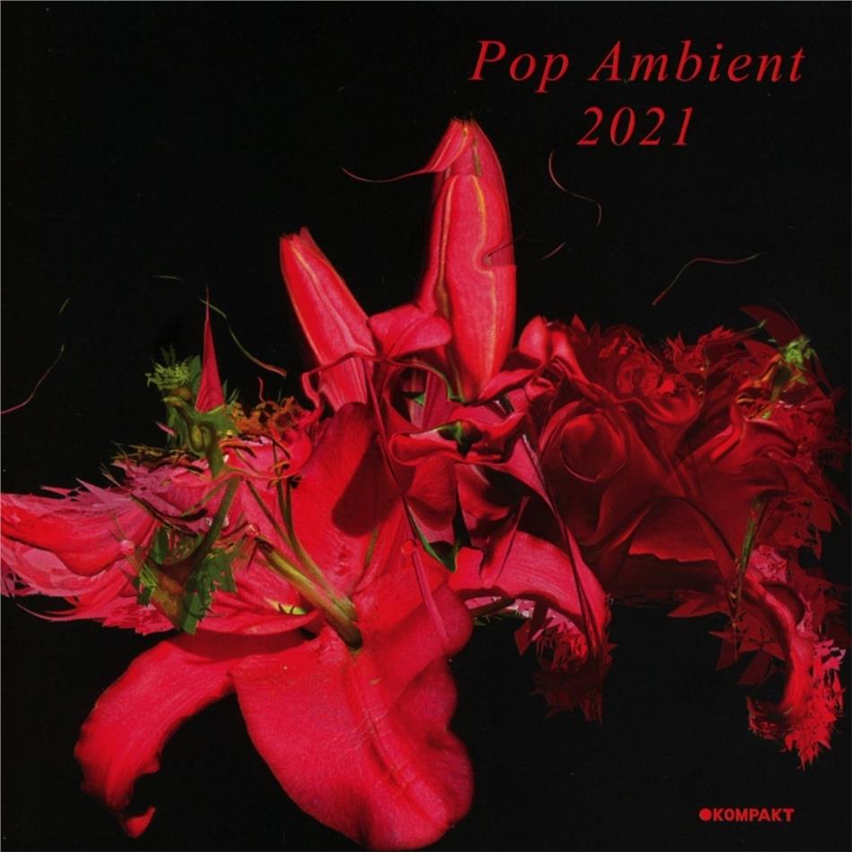 Pop Ambient - Pop Ambient 2021