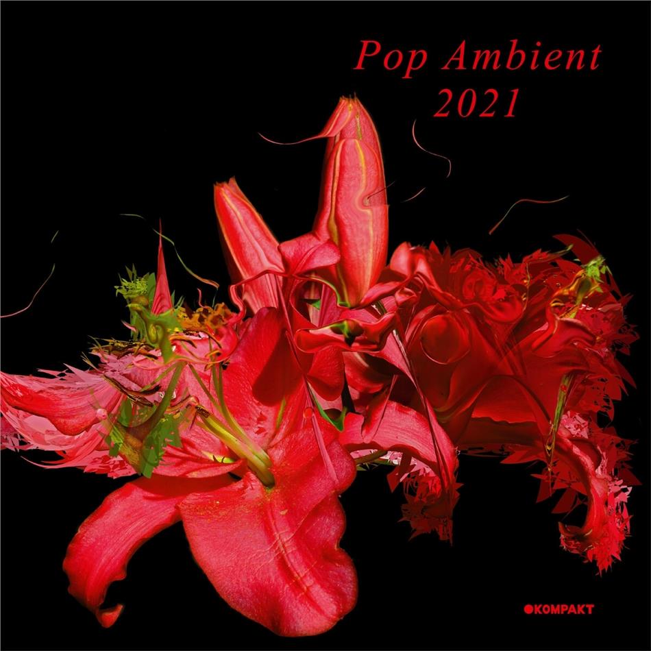 Pop Ambient - Pop Ambient 2021 LP