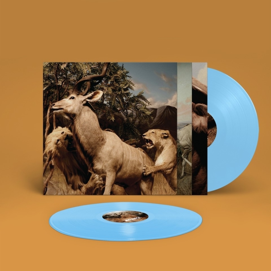 Interpol - Our Love To Admire 2020 Reissue, Gatefold, Blue Vinyl, LP