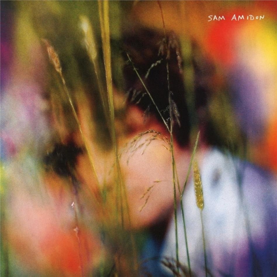 Sam Amidon - --- Colored, LP