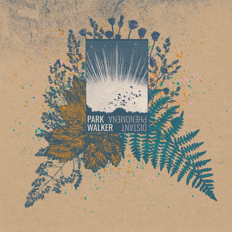 Park Walker - Distant Phenomena LP