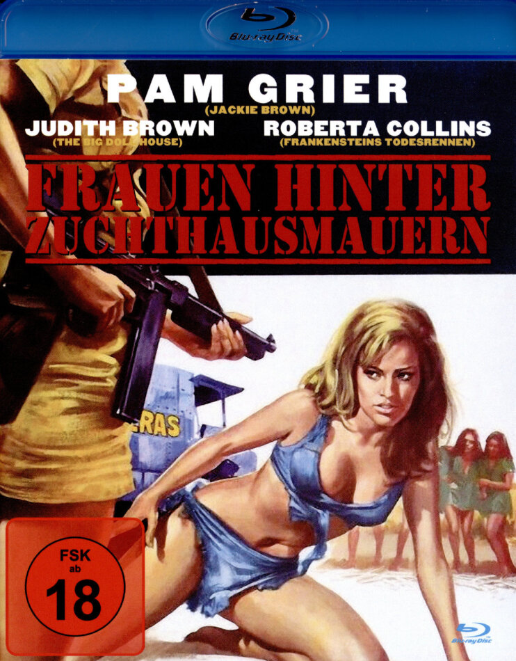 Frauen hinter Zuchthausmauern (1971)