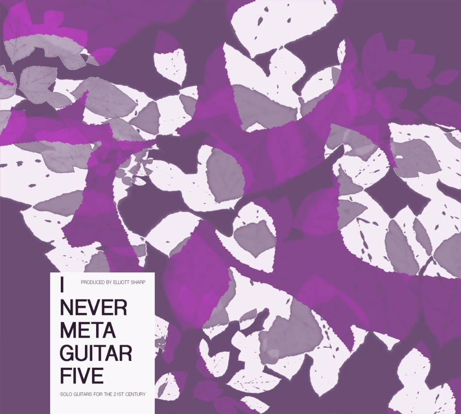 Elliot Sharp - Presents I Never Metaguitar 5