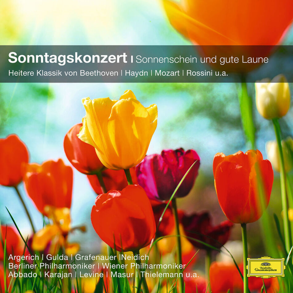 Sonntagskonzert - Heitere Klassik