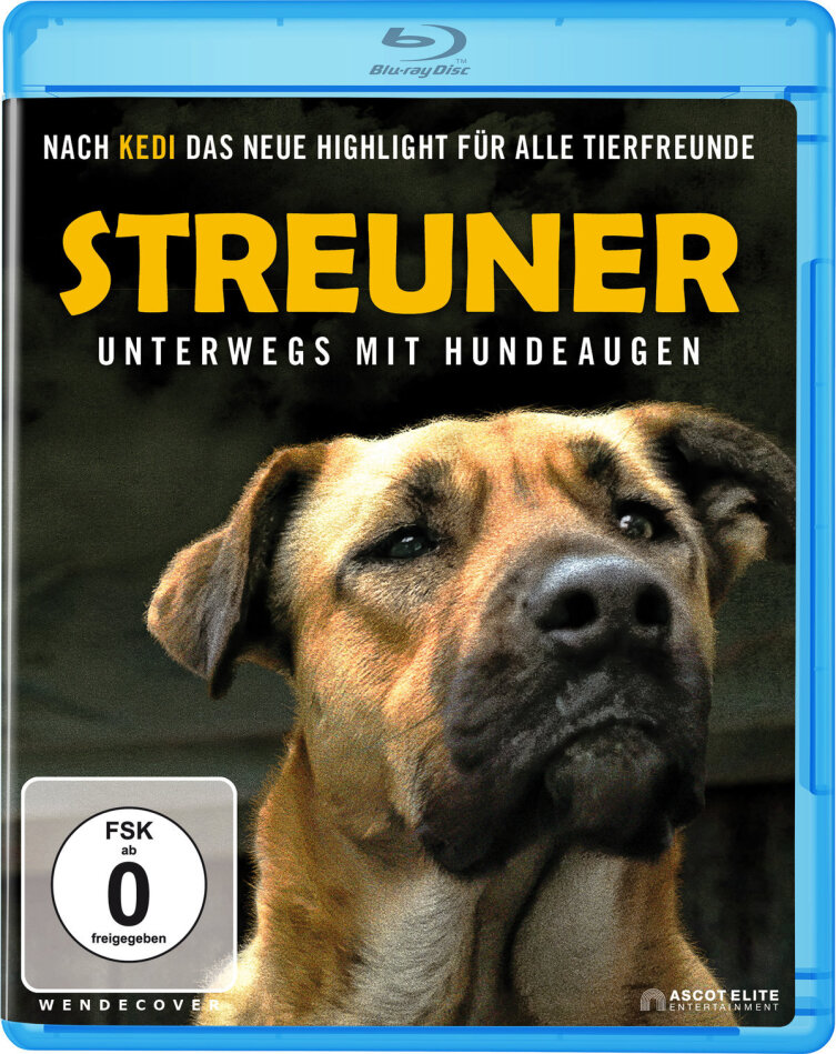 Streuner - Unterwegs mit Hundeaugen (2020)