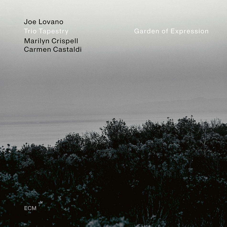 Joe Lovano & Trio Tapestry - Garden Of Expression LP