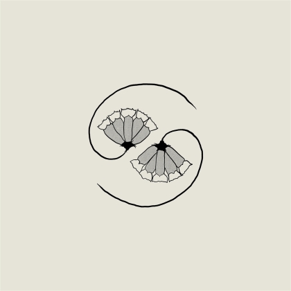 Godspeed You Black Emperor - G_d's Pee At State's End! (2 LP)