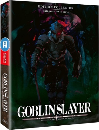 Goblin Slayer - Intégrale de la série (Version Non-Censurée, Collector's Edition, Mediabook, 2 Blu-rays)