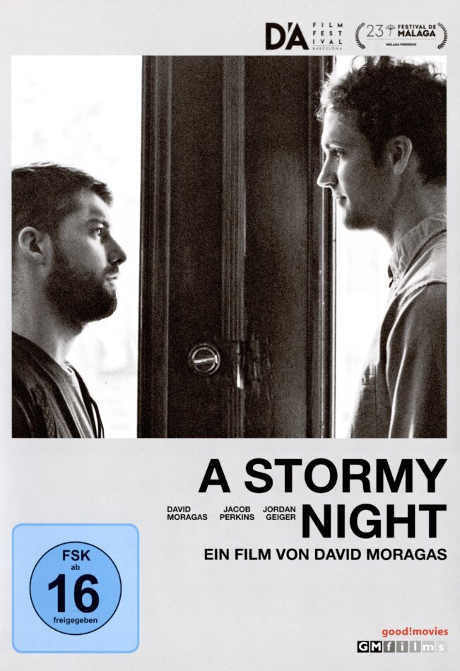 A Stormy Night (2020)