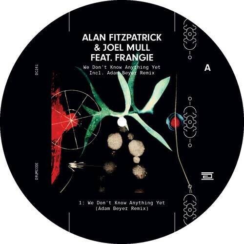 Alan Fitzpatrick, Joel Mull & Frangie - We Don't Know Anything Yet 12" Maxi