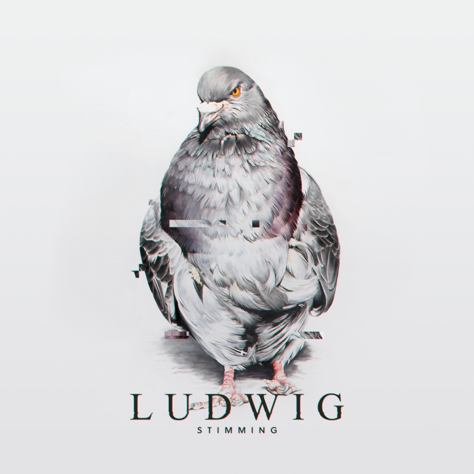 Stimming - Ludwig 2 LPs