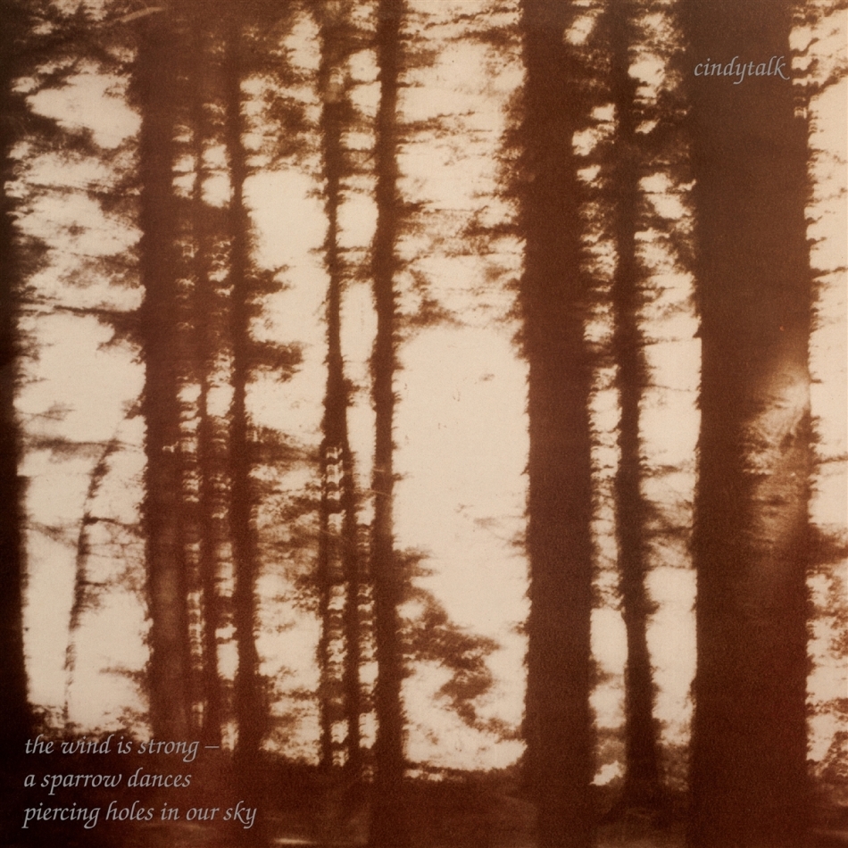 Cindytalk - Wind Is Strong 2021 Reissue, LP
