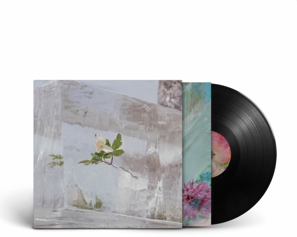 Efterklang - Windflowers LP