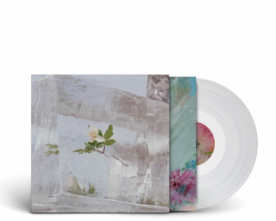 Efterklang - Windflowers Indies Only, Édition Limitée, LP