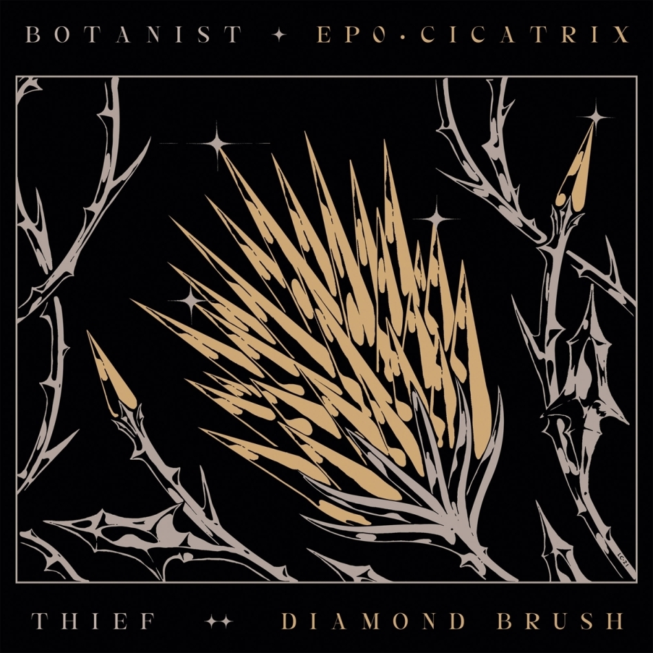 Thief & Botanist - Cicatrix / Diamond Brush