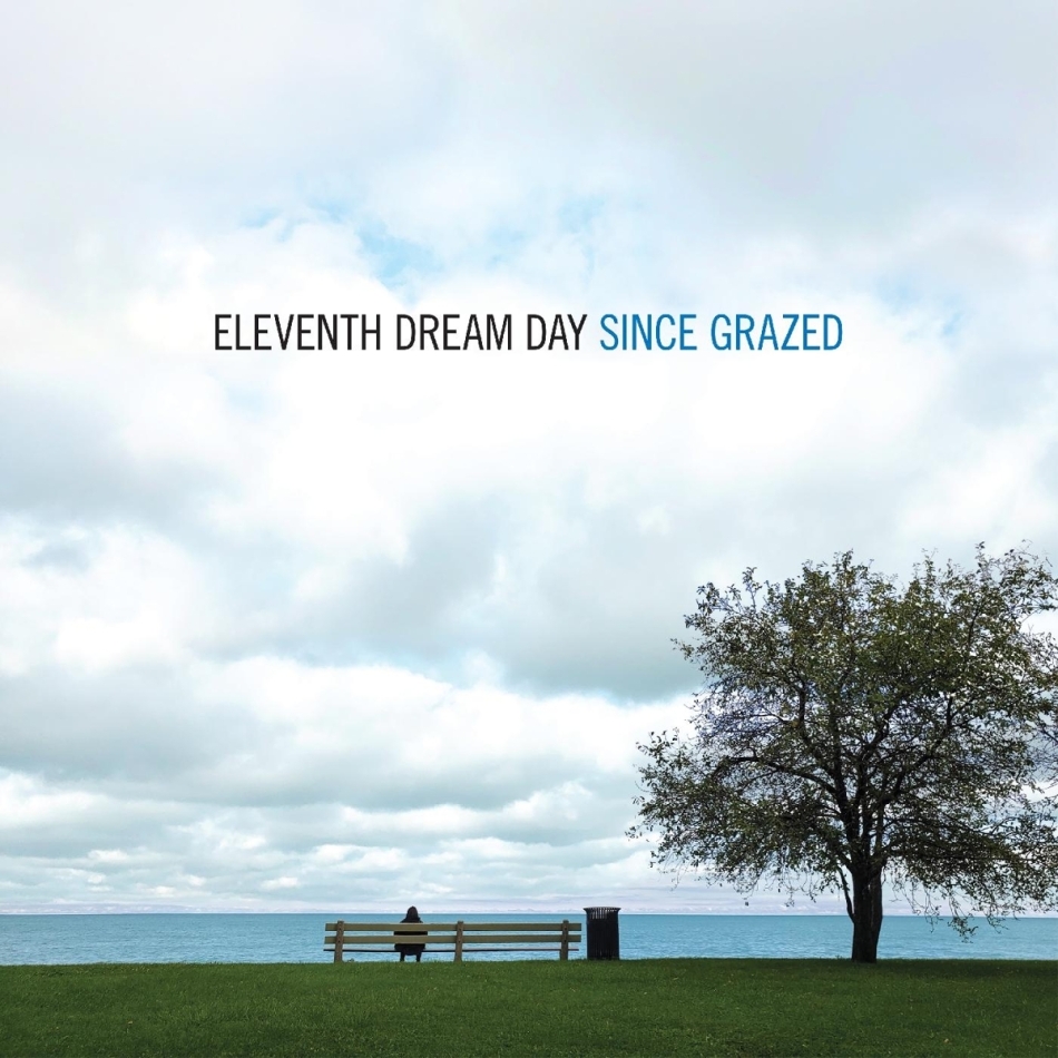 Eleventh Dream Day - Since Grazed LP