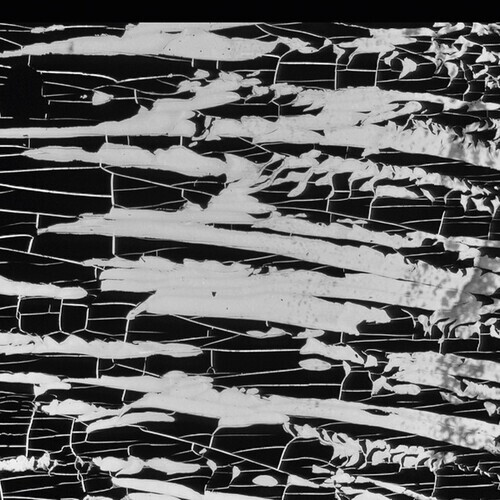 BJ Nilsen - Irreal