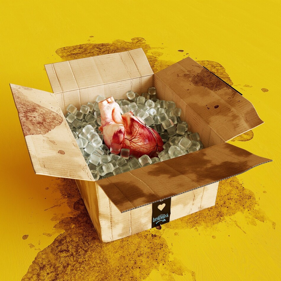 Das Lumpenpack - Emotions Yellow Vinyl, LP