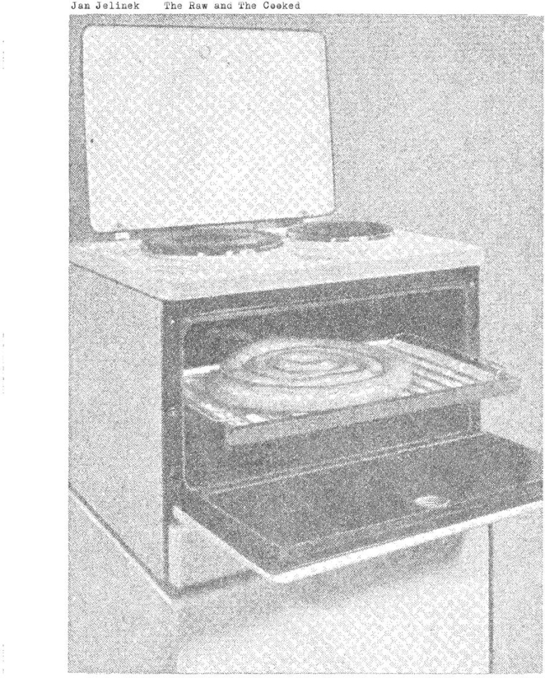 Jan Jelinek - Raw And The Cooked LP