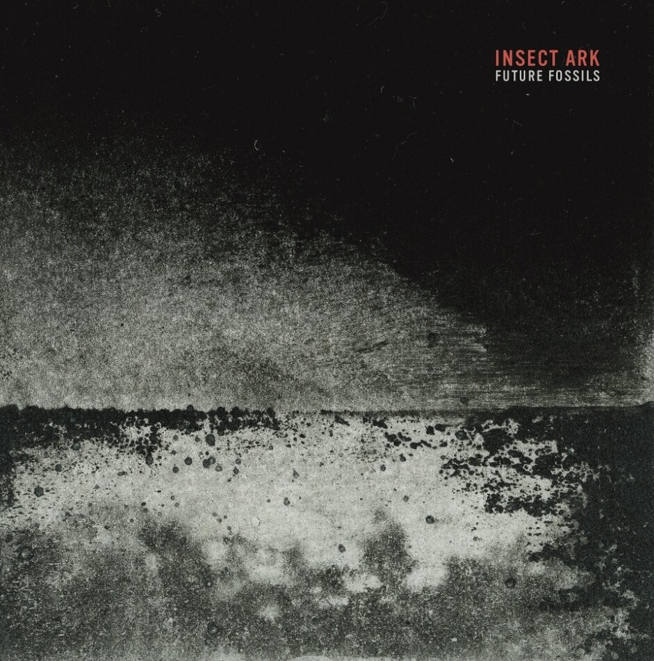 Insect Ark - Future Fossils LP
