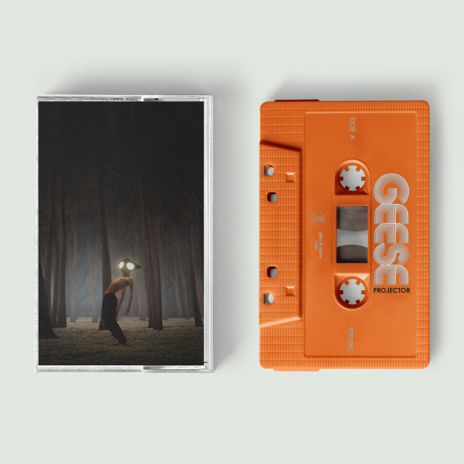 Geese - Projector Limited Edition