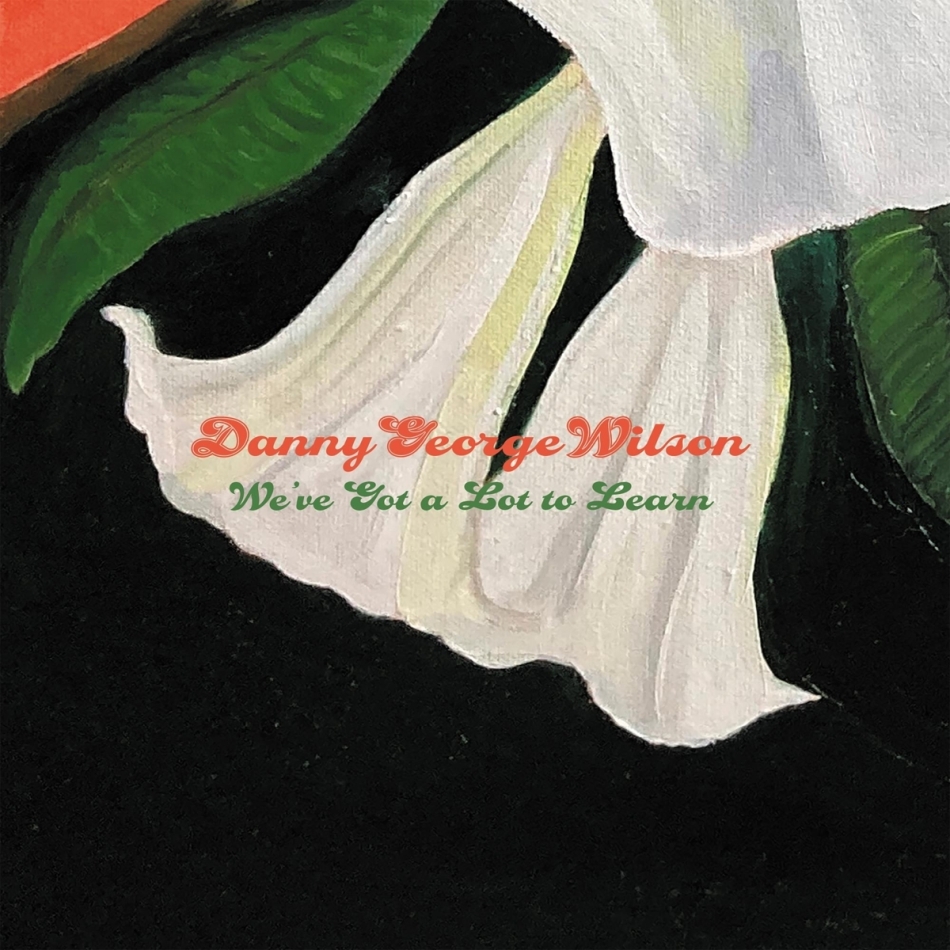 Danny George Wilson - We've Got A Lot To Learn 7" Single