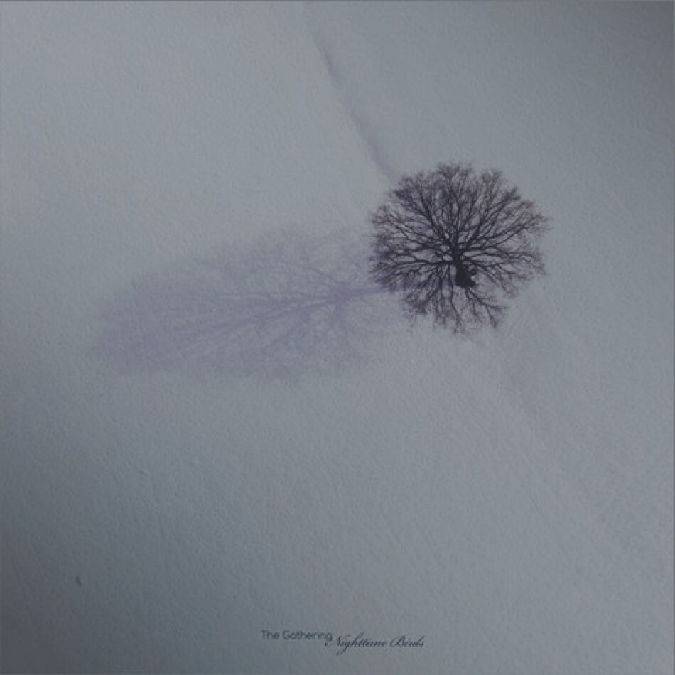 The Gathering - Nighttime Birds 2021 Reissue, Psychonaut Records, Indies Only, Blueberry Colored Vinyl, LP