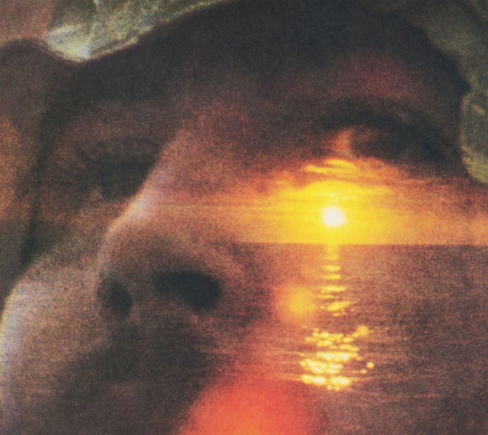 David Crosby - If I Could Only Remember My Name 2021 Reissue, Rhino, Anniversary Edition, 2 CDs