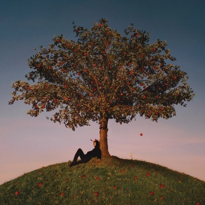 Slowthai - Tyron (Limited Edition, LP)