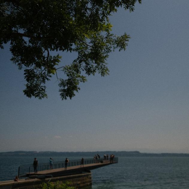 Silver Birch - Oblivion