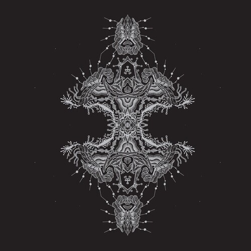 Pfirter - Altered States 2 LPs