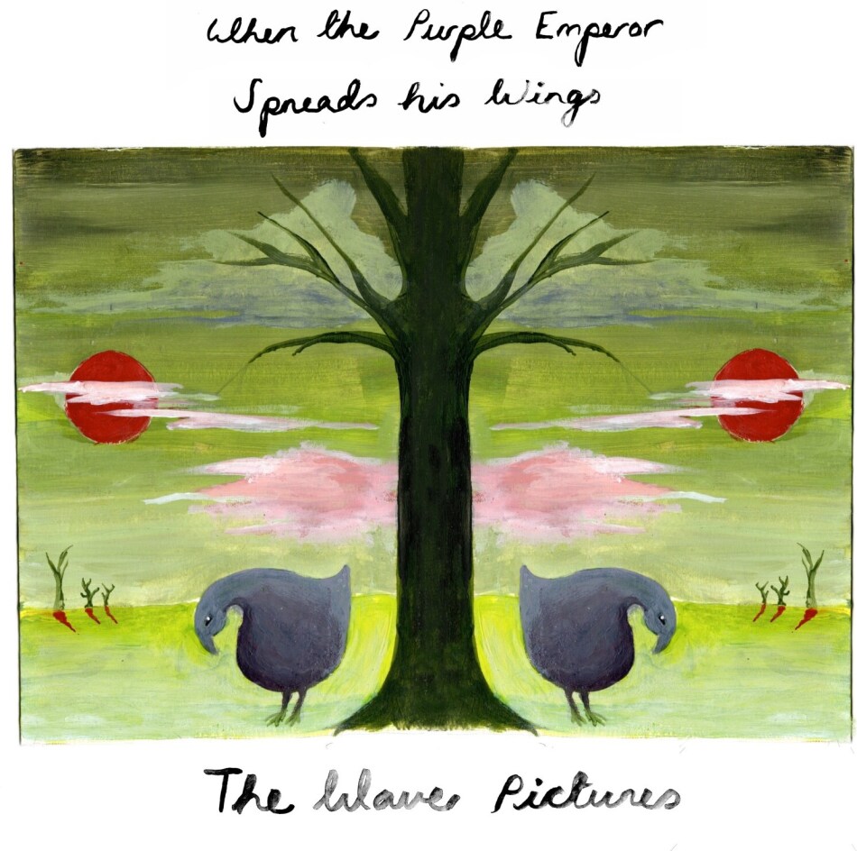 Wave Pictures - When The Purple Emperor Spreads His Wings 2 CDs