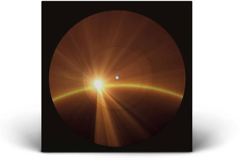 ABBA - Voyage Limited Edition, Picture Disc, LP