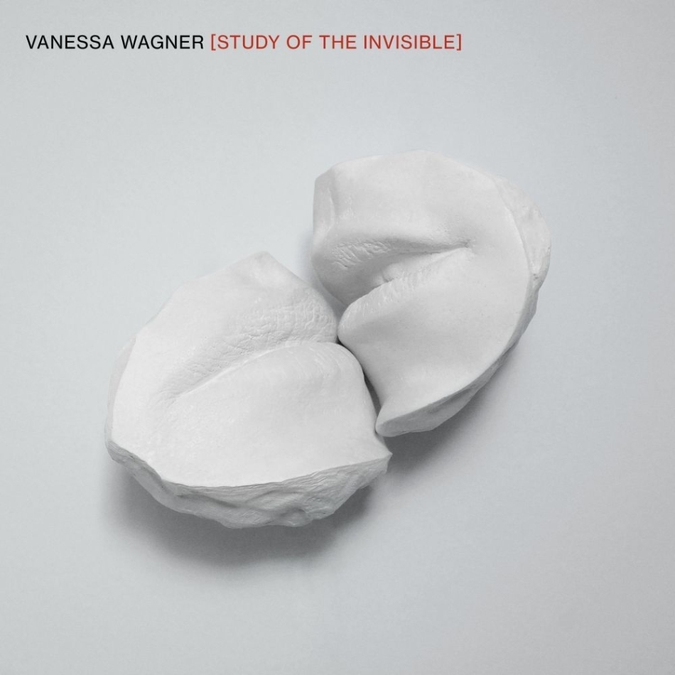 Vanessa Wagner - Study Of The Invisible 2 LPs