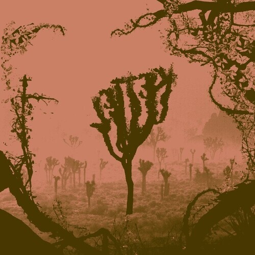 Kettel - My Dogan Colored, 2 LPs