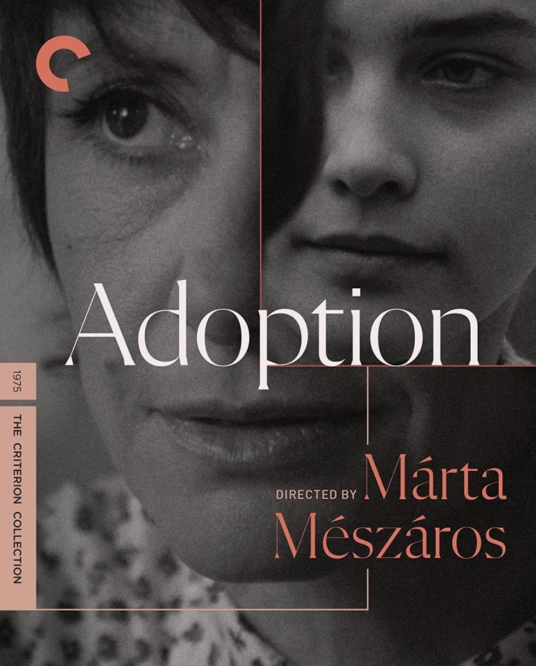 Adoption (1975) n/b, Criterion Collection