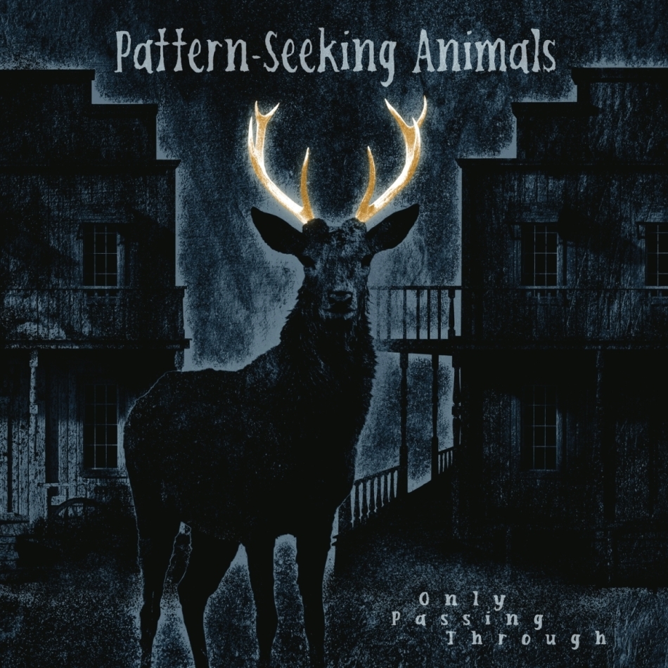 Pattern-Seeking Animals - Only Passing Through 2 LP + CD
