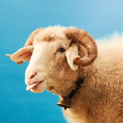 Dabu Fantastic - So Easy (LP)