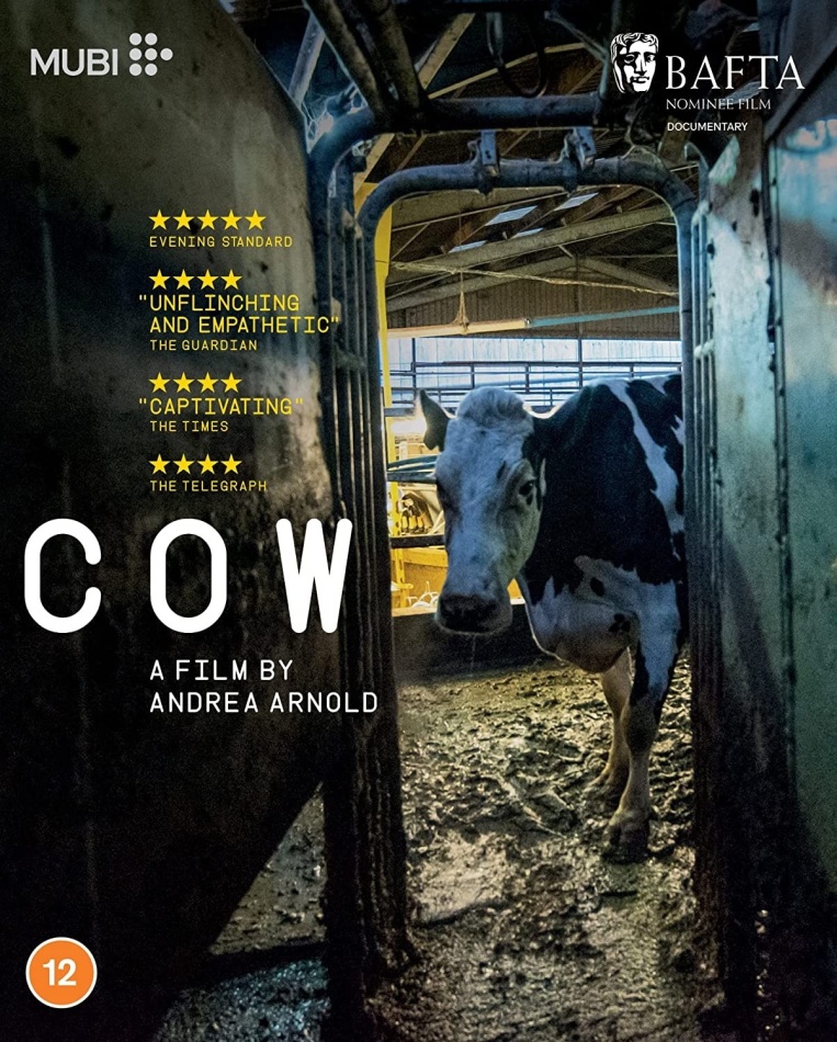 Cow (2021)
