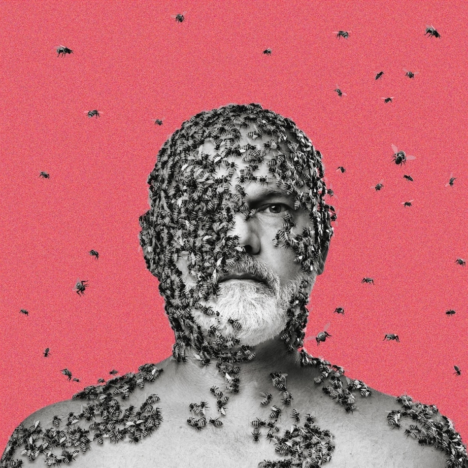 Carson - The Wilful Pursuit Of Ignorance LP