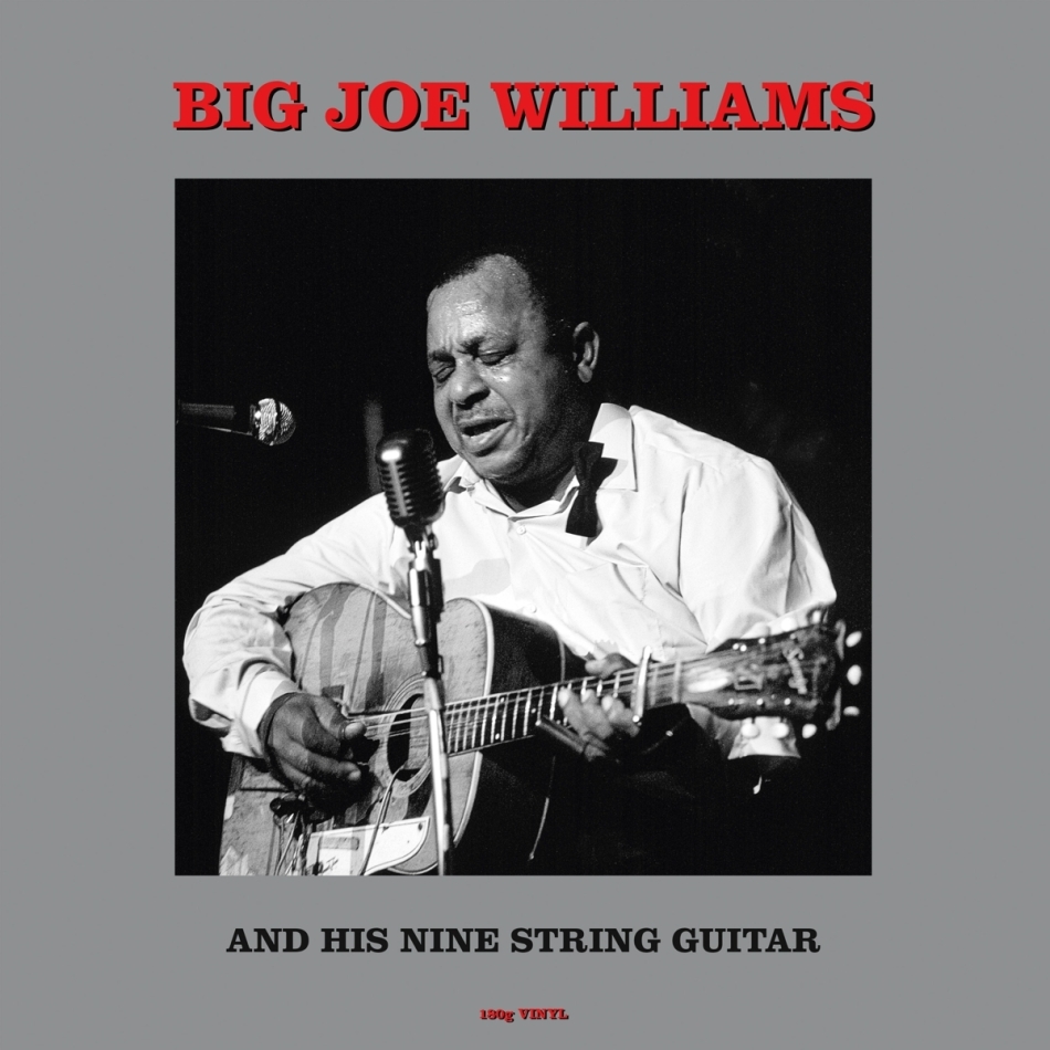 Big Joe Williams - & His Nine String Guitar Not Now UK, 2022 Reissue, LP