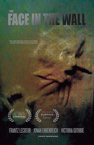 The Face in the Wall (2017)